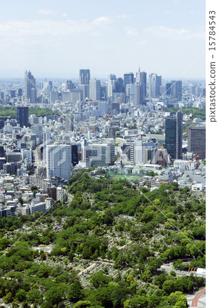 Shinjuku skyscraper group and cityscape 15784543
