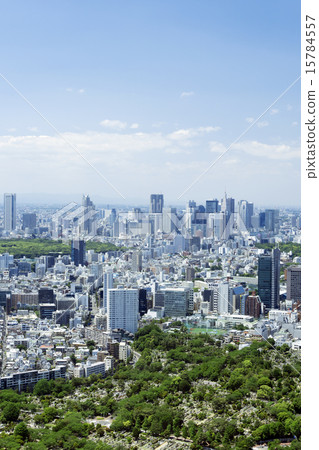 Shinjuku skyscraper group and cityscape 15784557