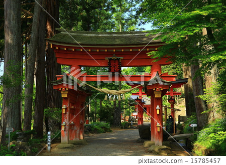 World heritage Hiraizumi Tatsuya Cave bird home 15785457