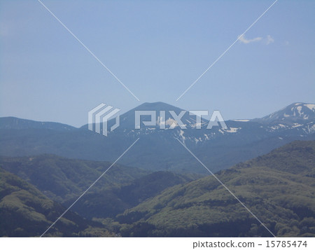 Azumayama的播種兔子 15785474