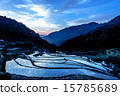 水稻梯田 15785689
