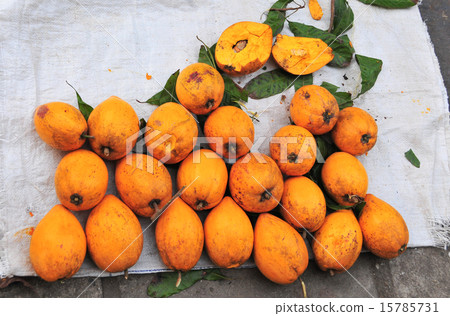 Group of canistel fruits Group of canistel fruits 15785731