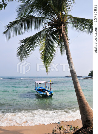 Beach in Hikkaduwa, Sri Lanka 15785982