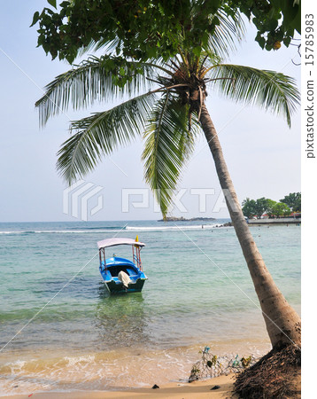 Beach in Hikkaduwa, Sri Lanka Beach in Hikkaduwa, Sri Lanka 15785983