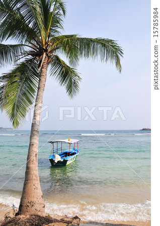 Beach in Hikkaduwa, Sri Lanka 15785984