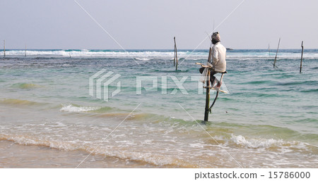 Stilt Fishermen of Sri Lanka Stilt Fishermen of Sri Lanka 15786000