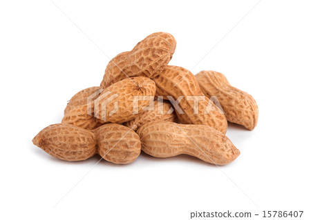 peanuts 15786407