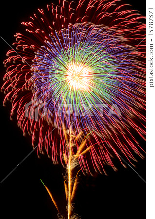 煙花 煙花 15787371