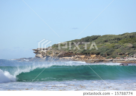 Sea wave Sea wave 15788774