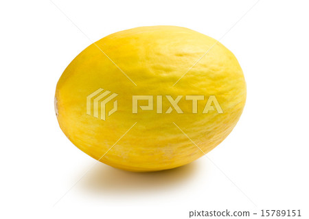 honeydew melon on white background 15789151