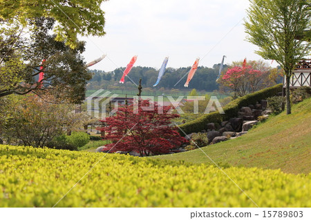 Carp streamer 15789803