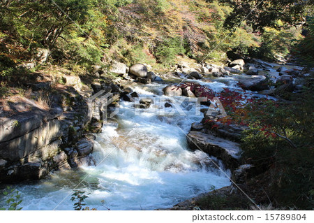 Okutsu河 Okutsu河 15789804