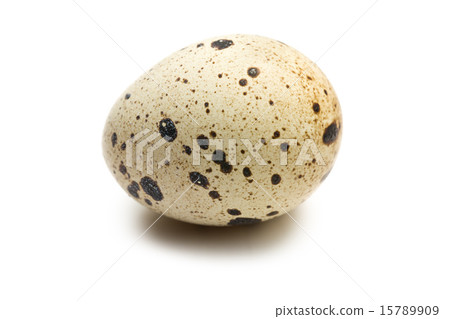 quail egg on white background quail egg on white background 15789909