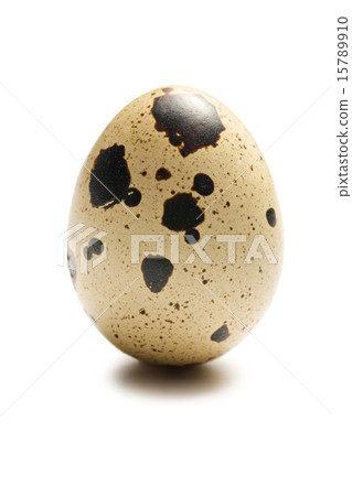 quail egg on white background quail egg on white background 15789910
