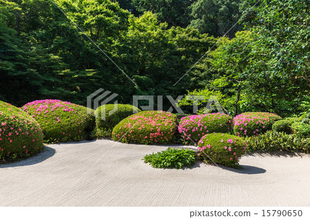 Shisen-do /花園 15790650