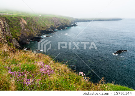 Slea Head in Dingle Peninsula Slea Head in Dingle Peninsula 15791144