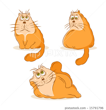 Cartoon cat character design set Cartoon cat character design set 15791796