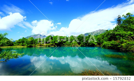 Iriyama山腳池塘的森林 15792832