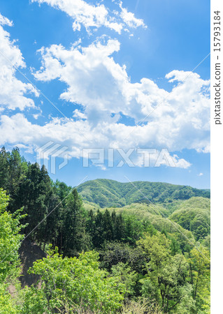 森林和天空 15793184