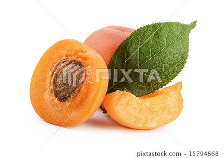 The fresh apricot with a leaf 15794668