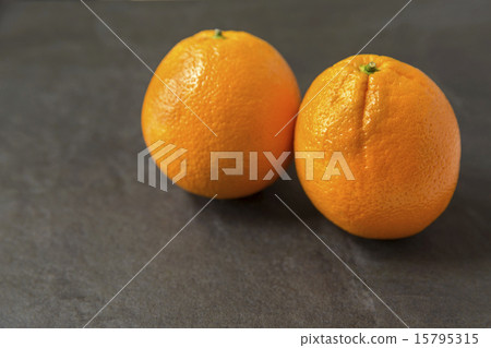 橙 橙 15795315