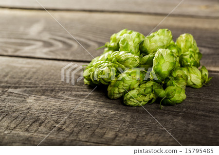 Fresh green hops on a wooden table 15795485