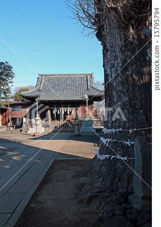 Akatsuka Suwa Shrine 15795794