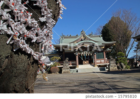 Akatsuka Hikawa Shrine 15795810