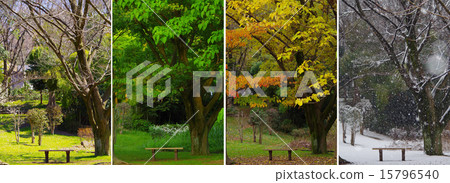 四季 四季 15796540