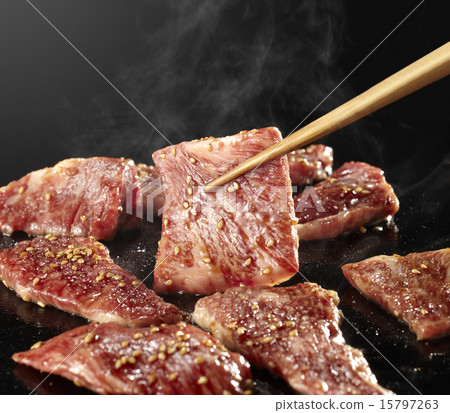 Begger用烤肉 15797263
