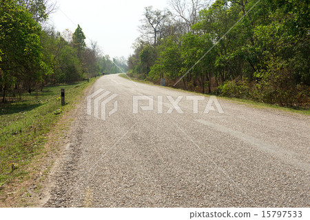 尼泊爾Talai平原路Mahendra高速公路 尼泊爾Talai平原路Mahendra高速公路 15797533