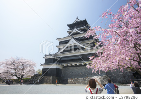 熊本城 熊本城 15798286