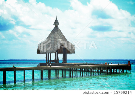 Tropical Jetty Tropical Jetty 15799214
