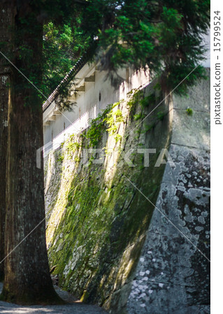 Heng Castle Heng Castle 15799524