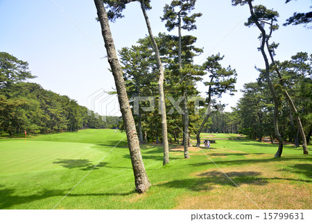 Golf course Golf course 15799631