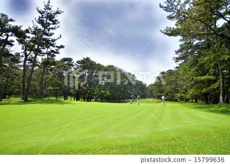 Golf course Golf course 15799636