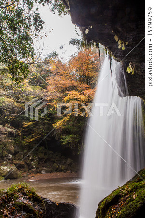 納布加拉瀑布 15799759