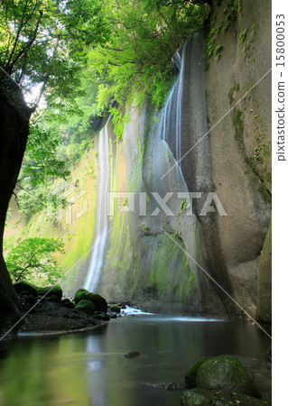 Canyon of fresh green 15800053