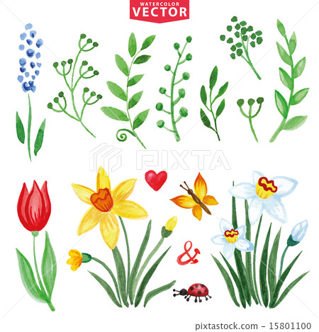Watercolor flowers,green  branches set.Spring,summer 15801100
