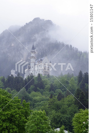 Neuschwanstein Castle 15801147