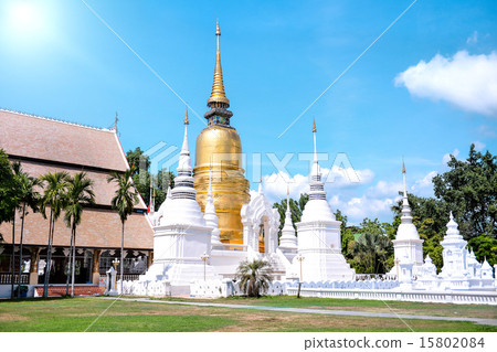 Wat Suan Dok Temple in Chiang Mai, Thailand 15802084