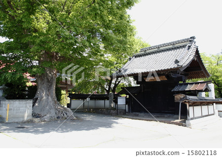 Ryuunji寺(佐久市) Ryuunji寺(佐久市) 15802118