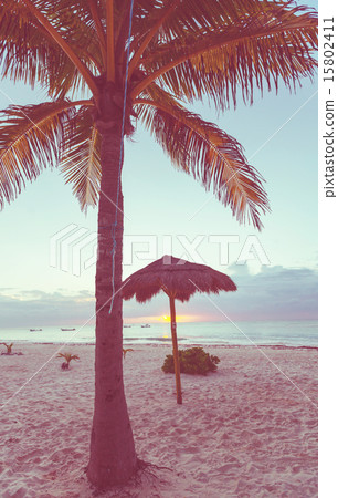 Tropical beach Tropical beach 15802411