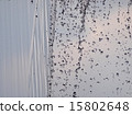 水 15802648
