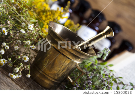 Assorted natural medical herbs and mortar Assorted natural medical herbs and mortar 15803058