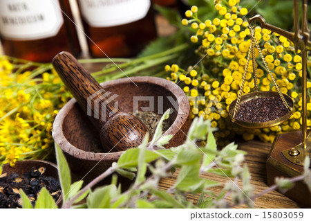 Assorted natural medical herbs and mortar 15803059