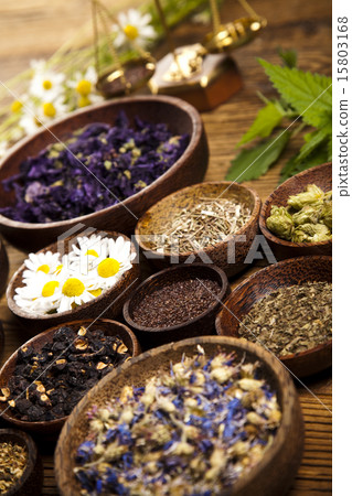 Fresh medicinal herbs on wooden desk Fresh medicinal herbs on wooden desk 15803168