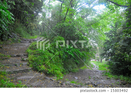 The approach of Shiogama Shrine 15803492