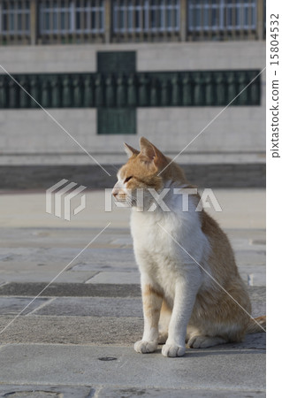Japan 26 Saints Cat in a Martyrdom 15804532
