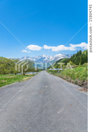 Northern Alps and the green land [Hakuba Village, Aoni Village, Nagano Prefecture] 15804745